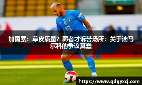 加图索：草皮质量？弱者才诉苦场所；关于迪马尔科的争议真蠢